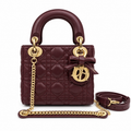 Dior Cannage Quilted Everyday Shoulder Bag 17cm